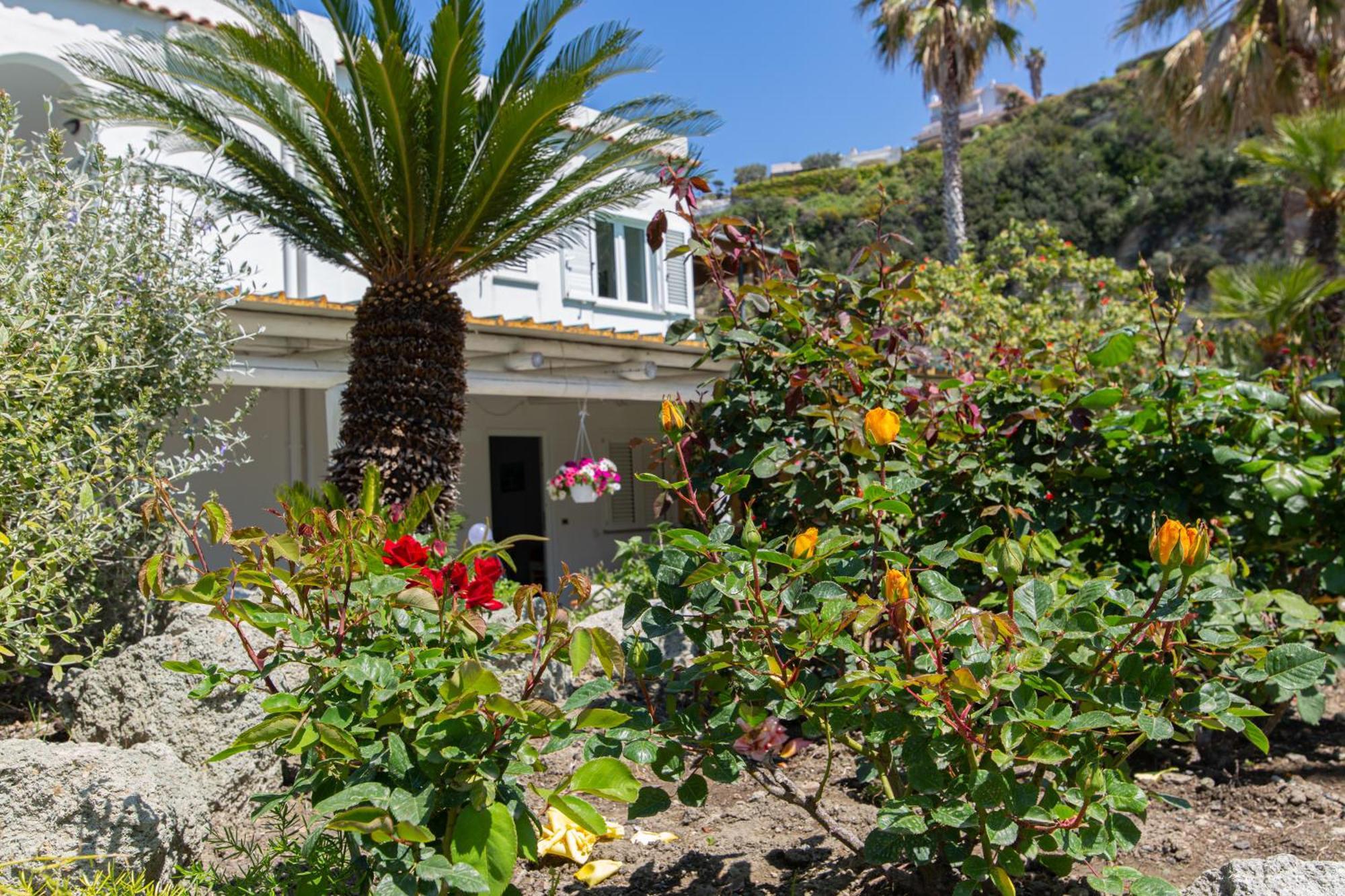 Villa Al Mare Famiglia Calise Ischia Exterior foto